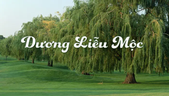 cac-loai-menh-moc-trong-ngu-hanh-ban-menh-anh-3.webp