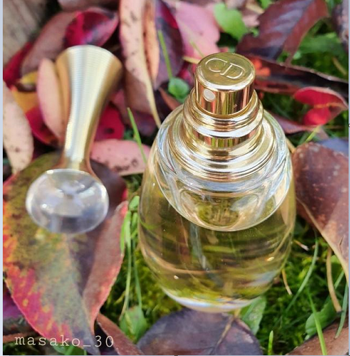 mui-huong-dior-jadore-edt.png