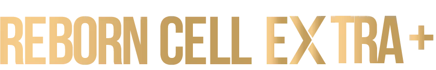 image-77.png