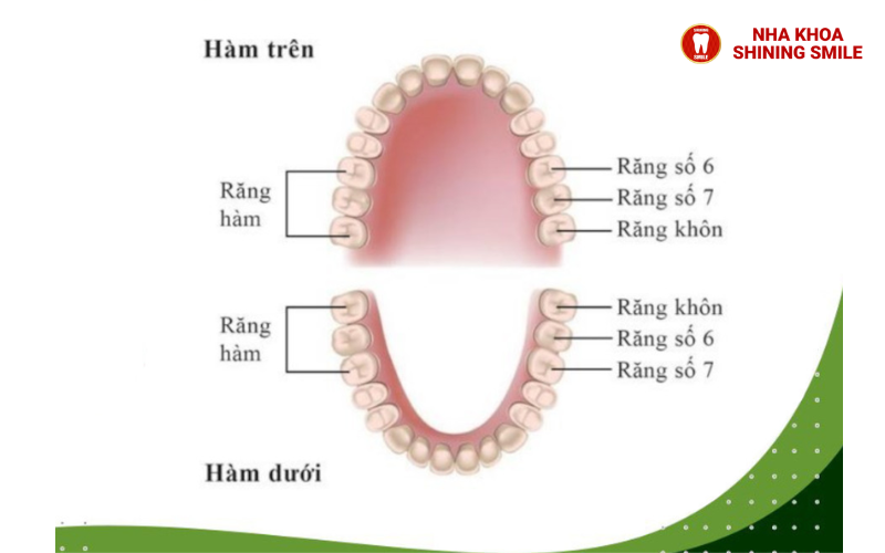 thiet-ke-chua-co-ten-78.png