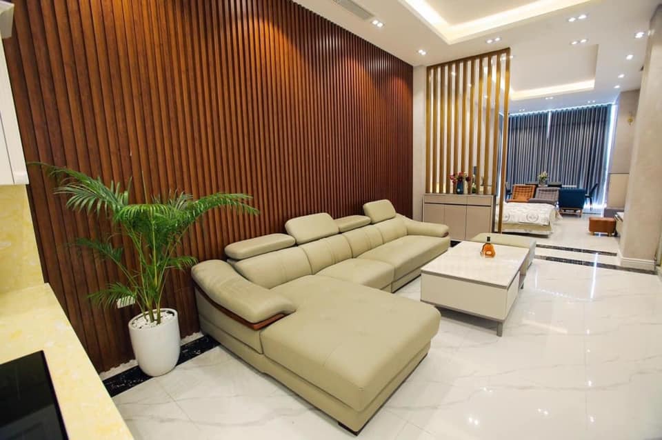 Sofa da cao cấp C1046