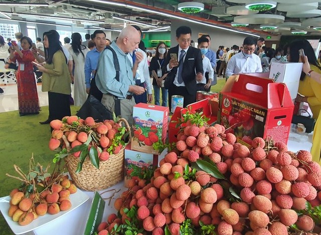 Hỗ trợ doanh nghiệp đăng ký BHNH, CDĐL ở nước ngoài: Những vấn đề cần quan tâm