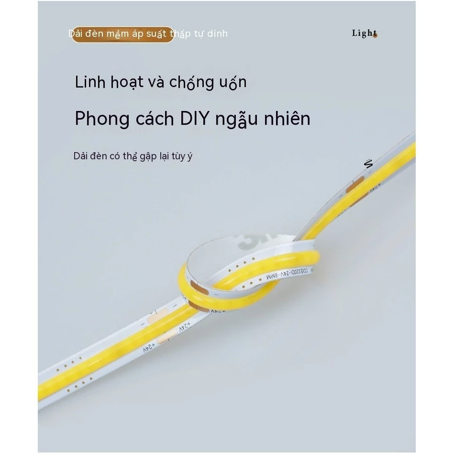 Ảnh2