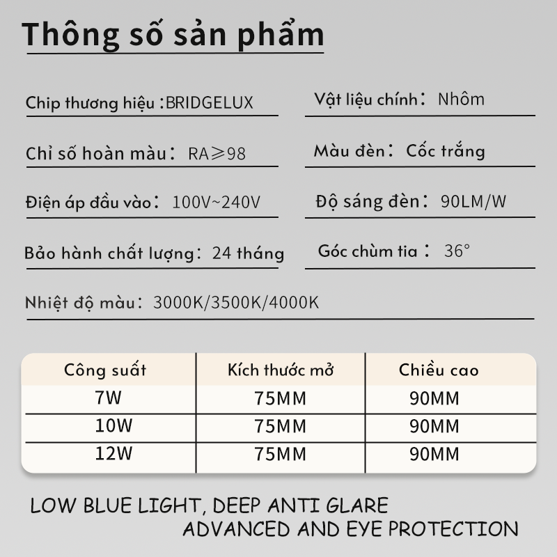 Ảnh2