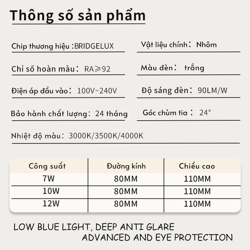 Ảnh2