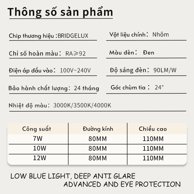 Ảnh2
