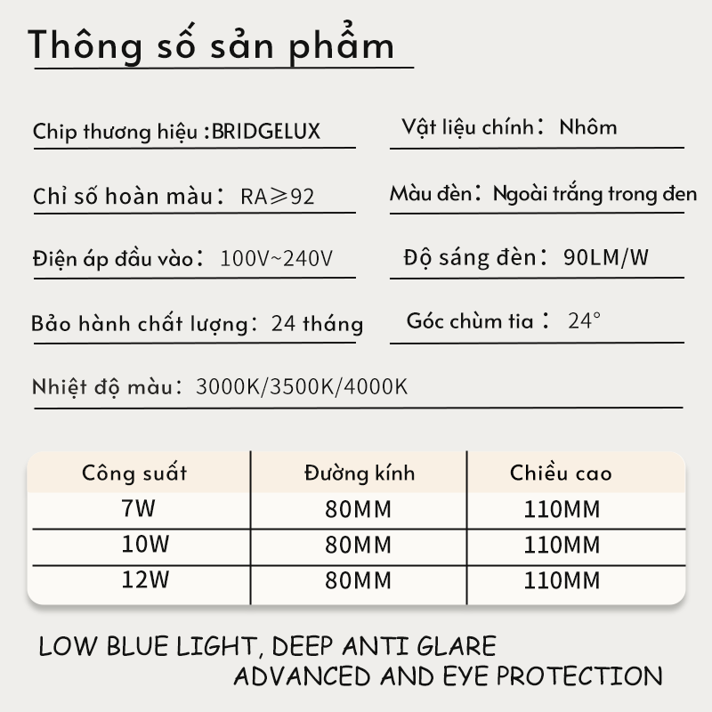 Ảnh2