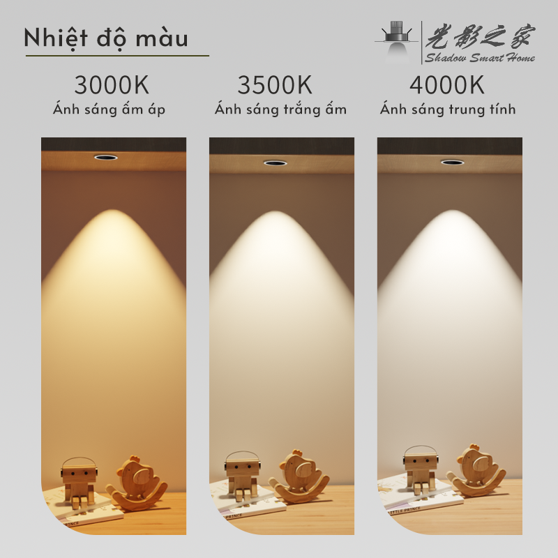 Ảnh5