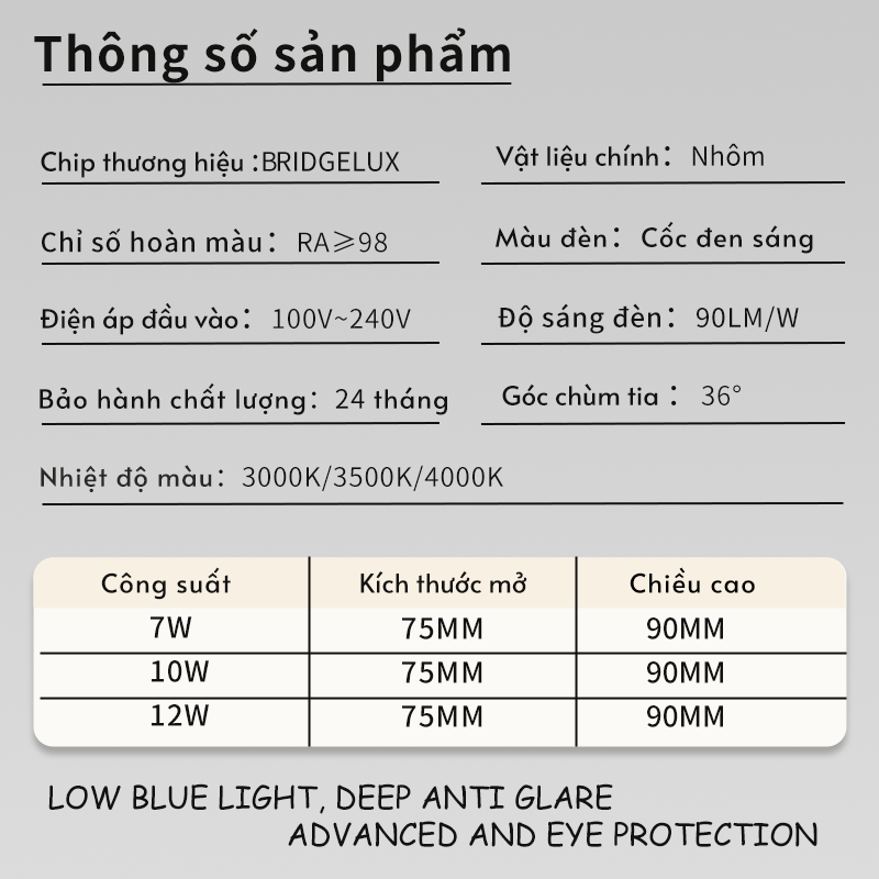 Ảnh2