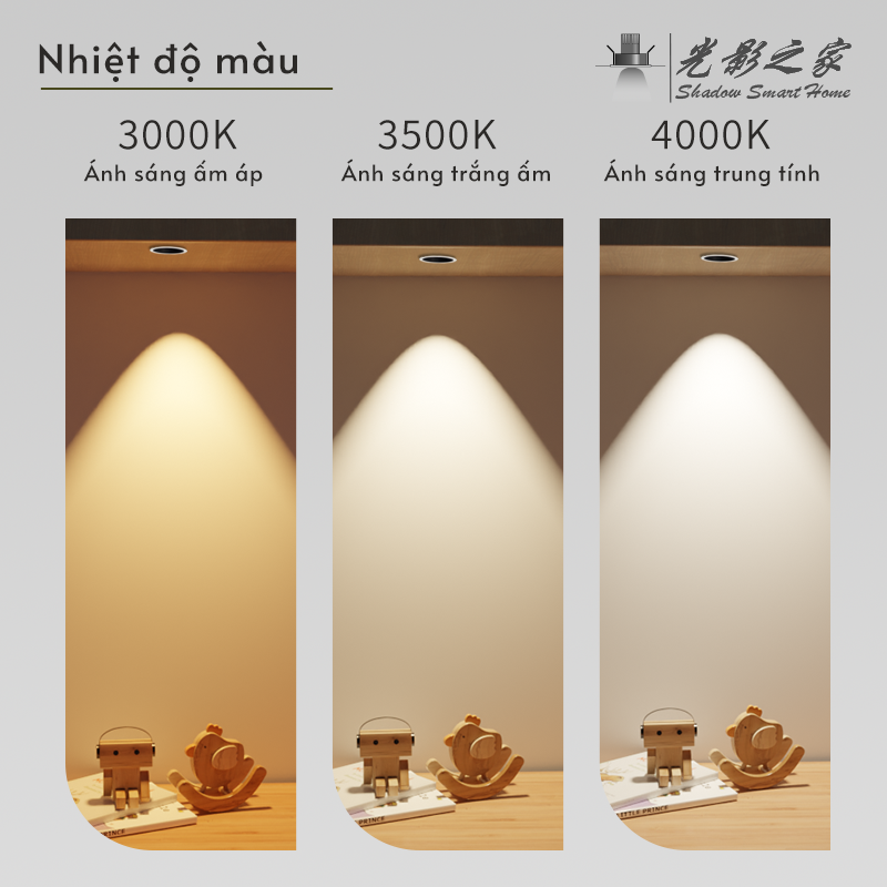 Ảnh5