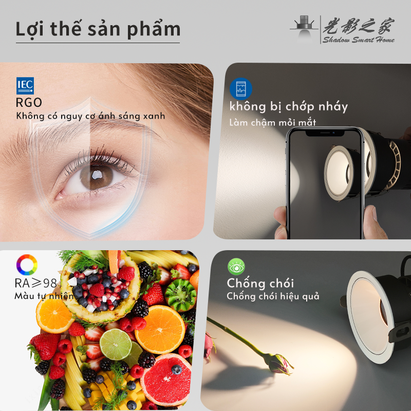 Ảnh5