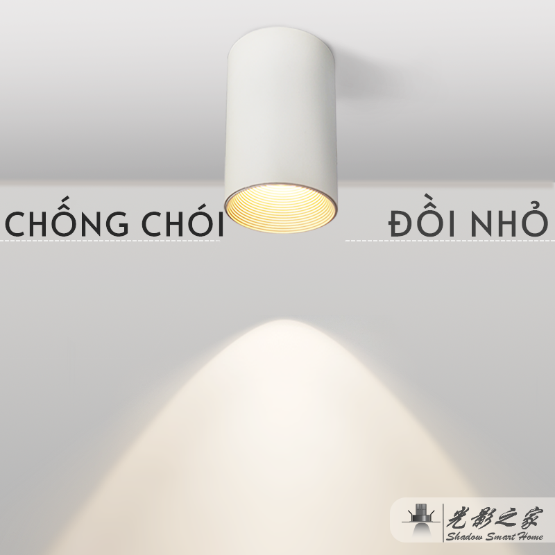 Ảnh5