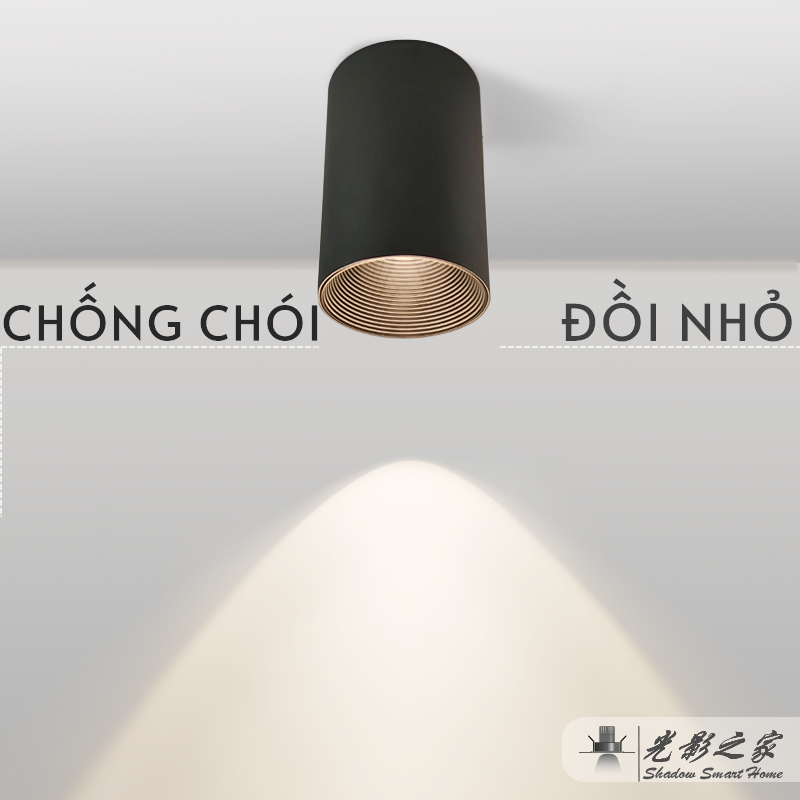 Ảnh5