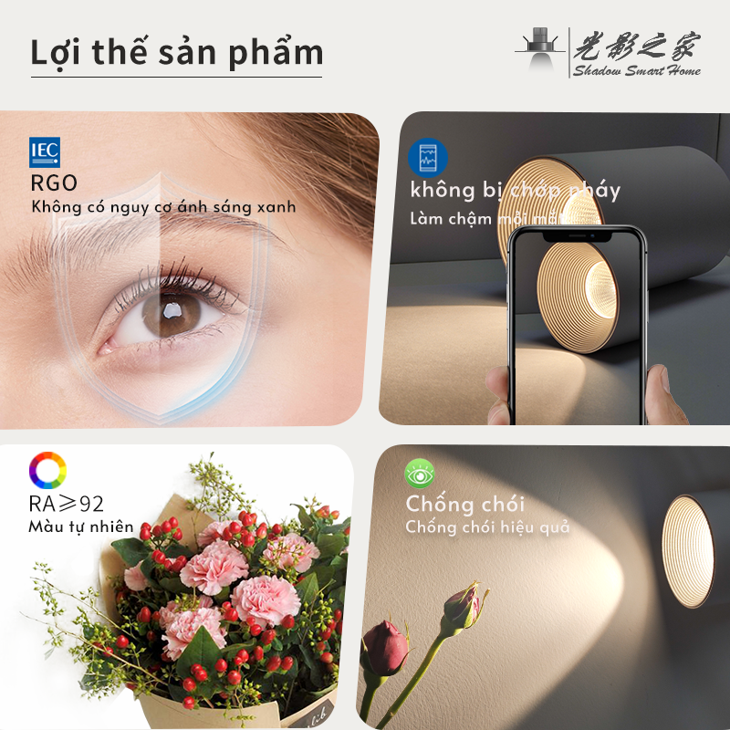 Ảnh3