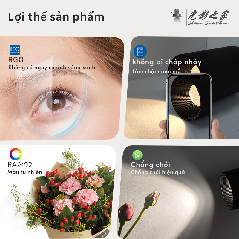 Ảnh3