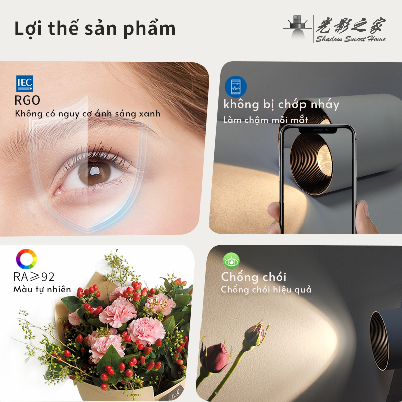 Ảnh3
