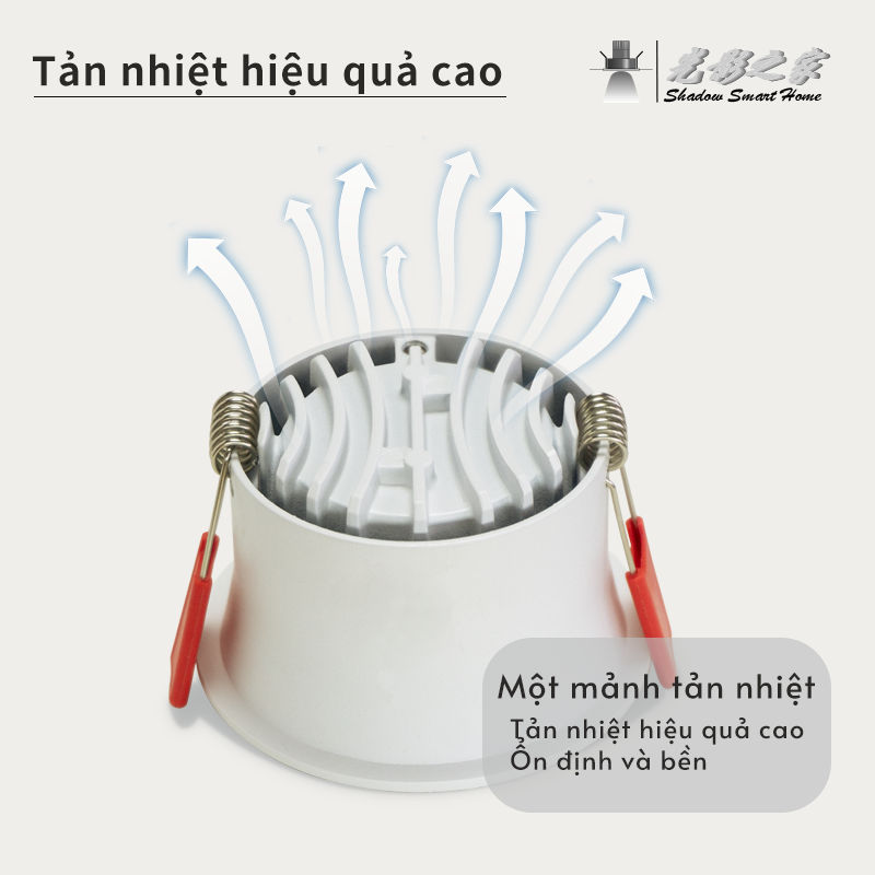 Ảnh5