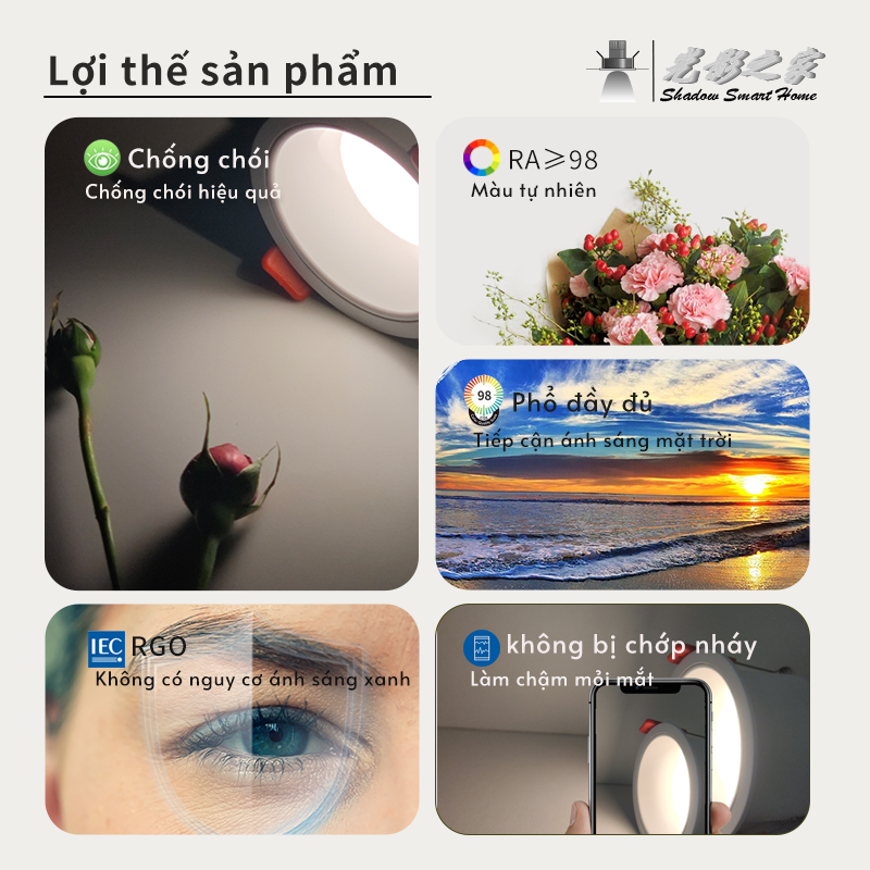 Ảnh3