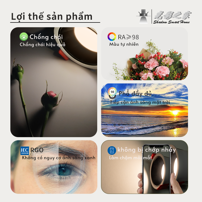 Ảnh4