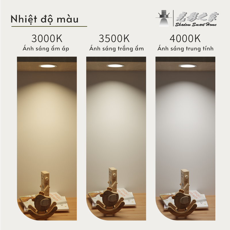 Ảnh6