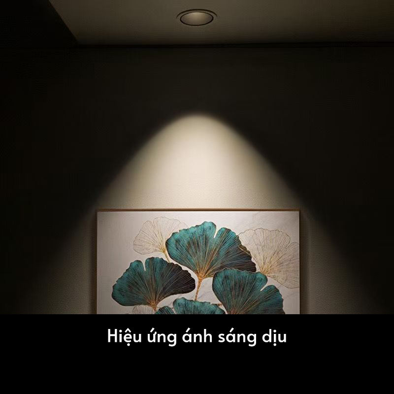 Ảnh4