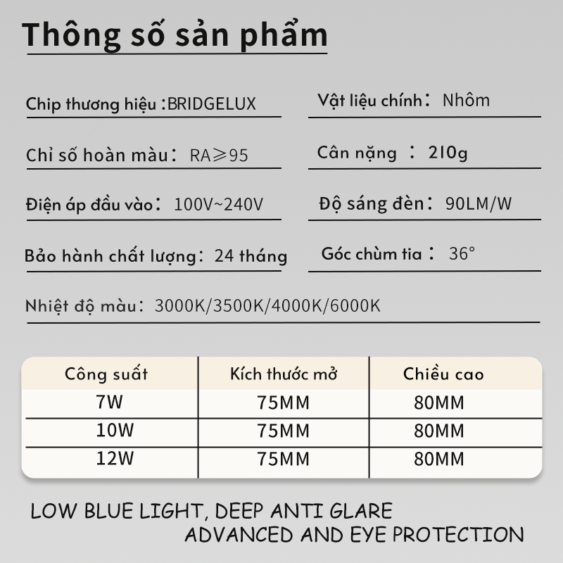 Ảnh2