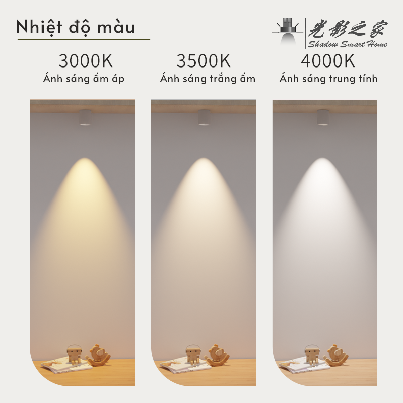 Ảnh4
