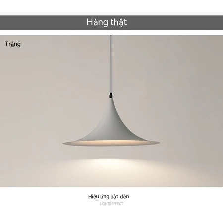 Ảnh8