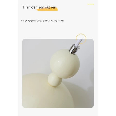Ảnh6