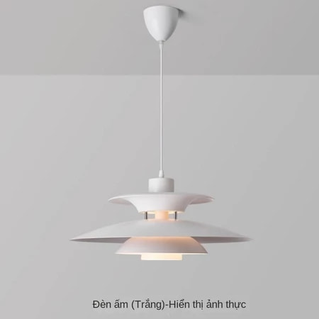 Ảnh5