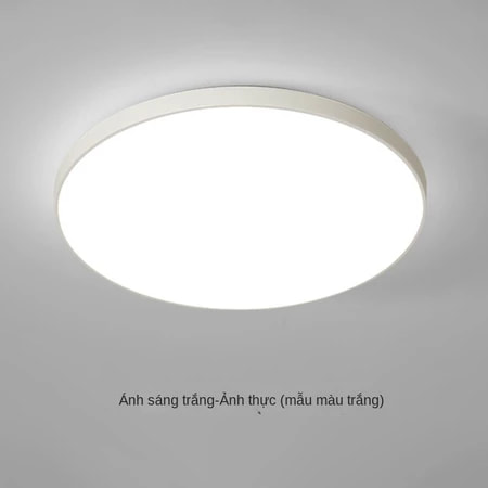 đèn trần-1645