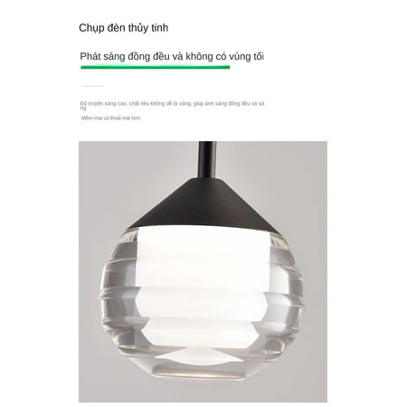 Ảnh6