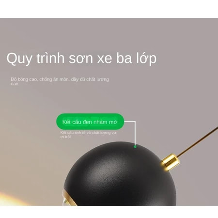 Ảnh7