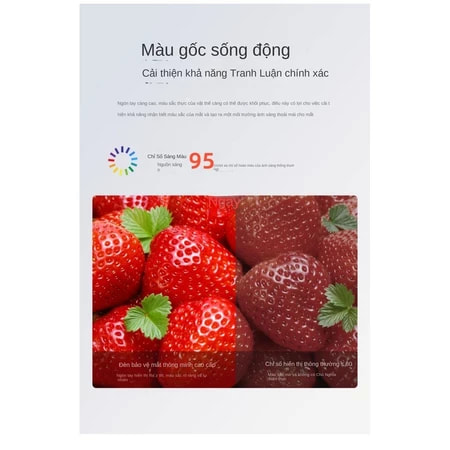 Ảnh5