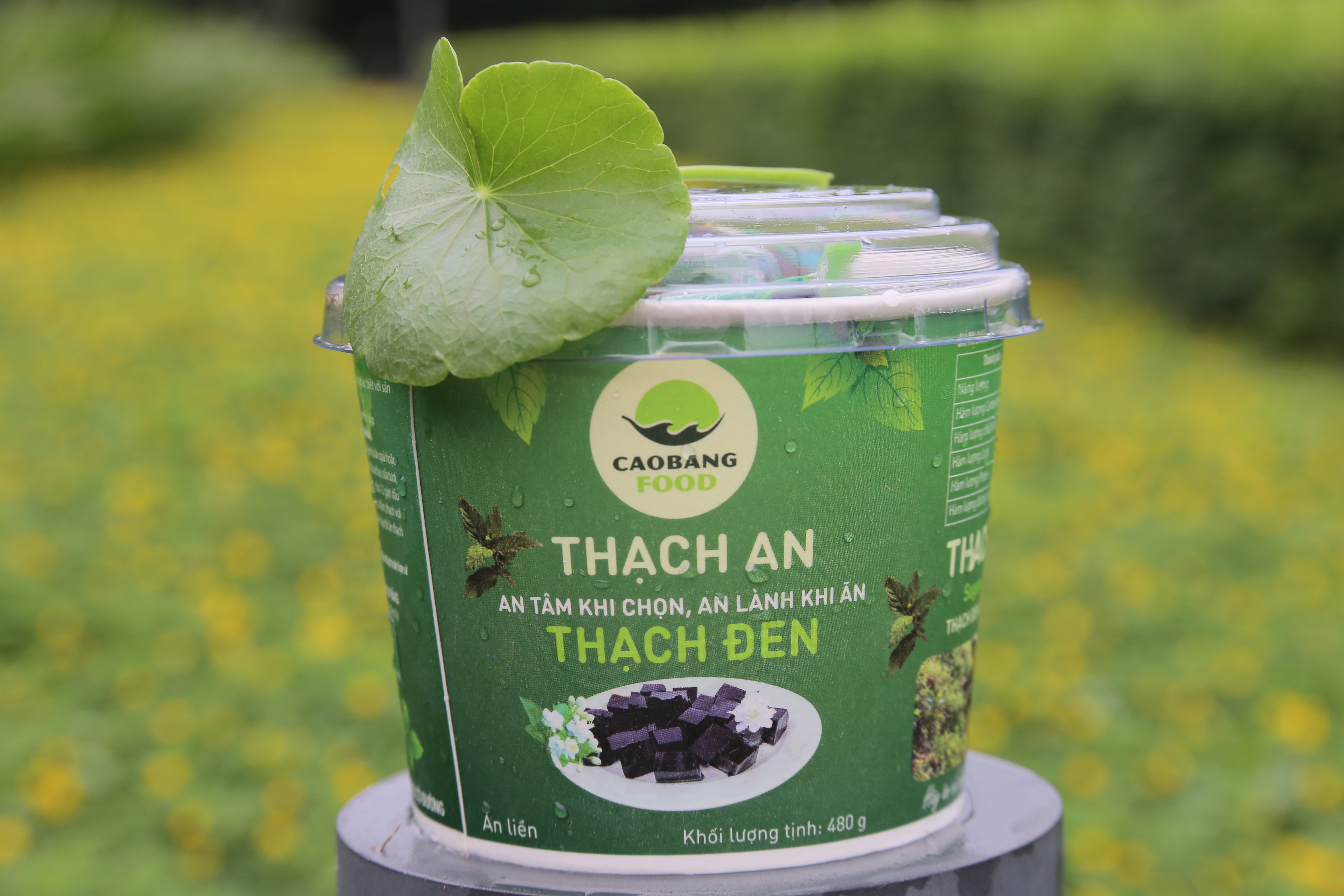 Du lịch Cao Bằng: Top những đặc sản mà bạn nên thử và làm quà