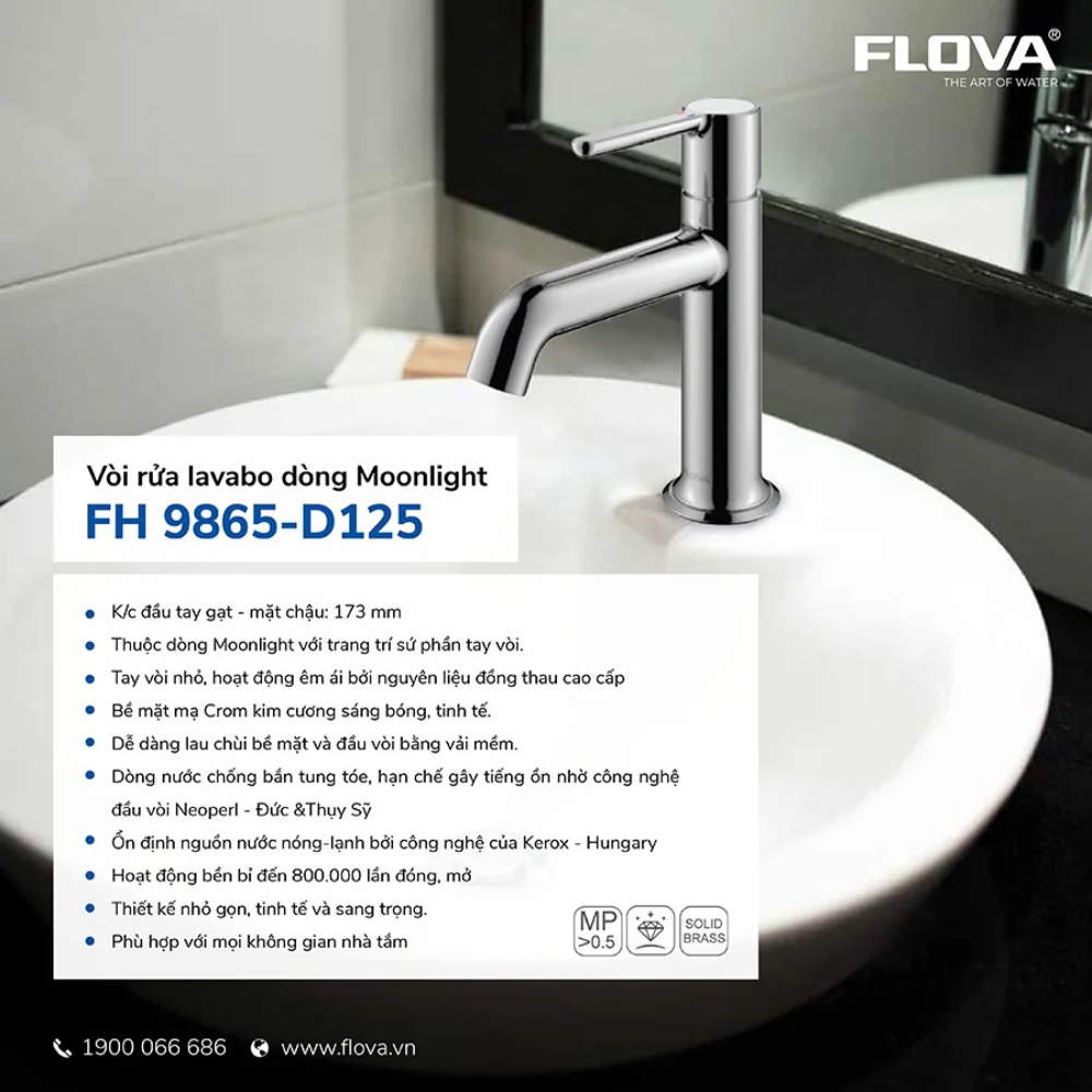 Vòi Lavabo gắn chậu FH 9865-D125