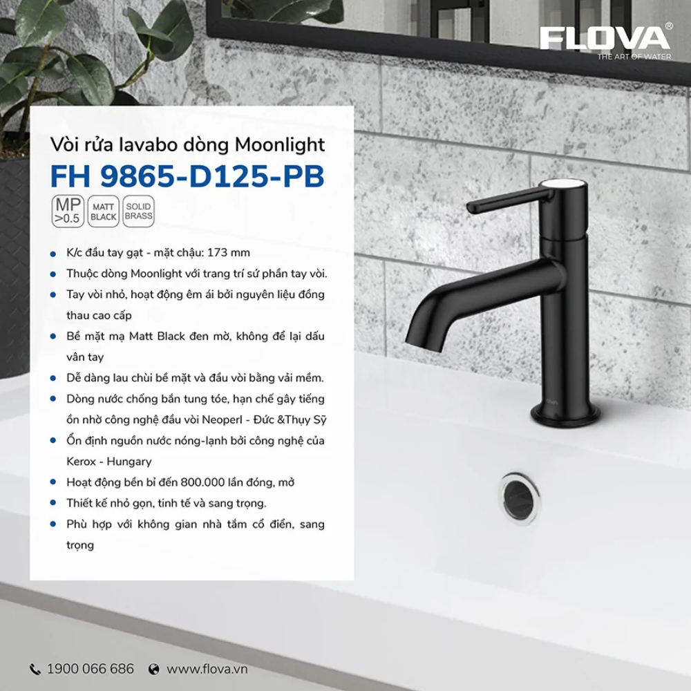 Vòi Lavabo gắn chậu FH 9865-D125-PB