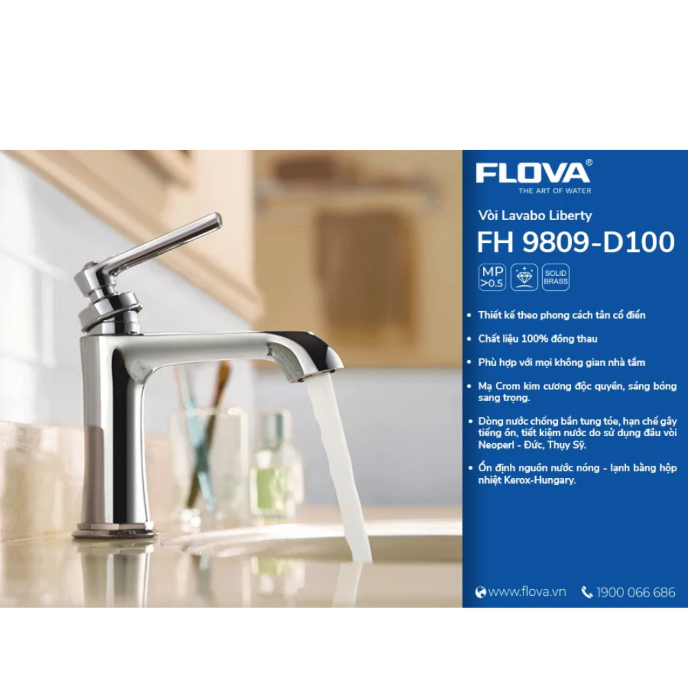 Vòi Lavabo gắn chậu FH 9809-D100