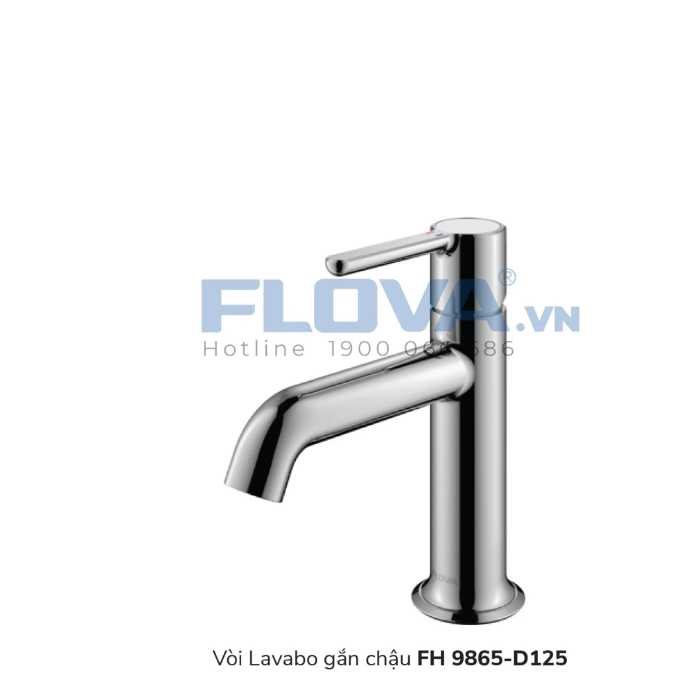 Vòi Lavabo gắn chậu FH 9865-D125
