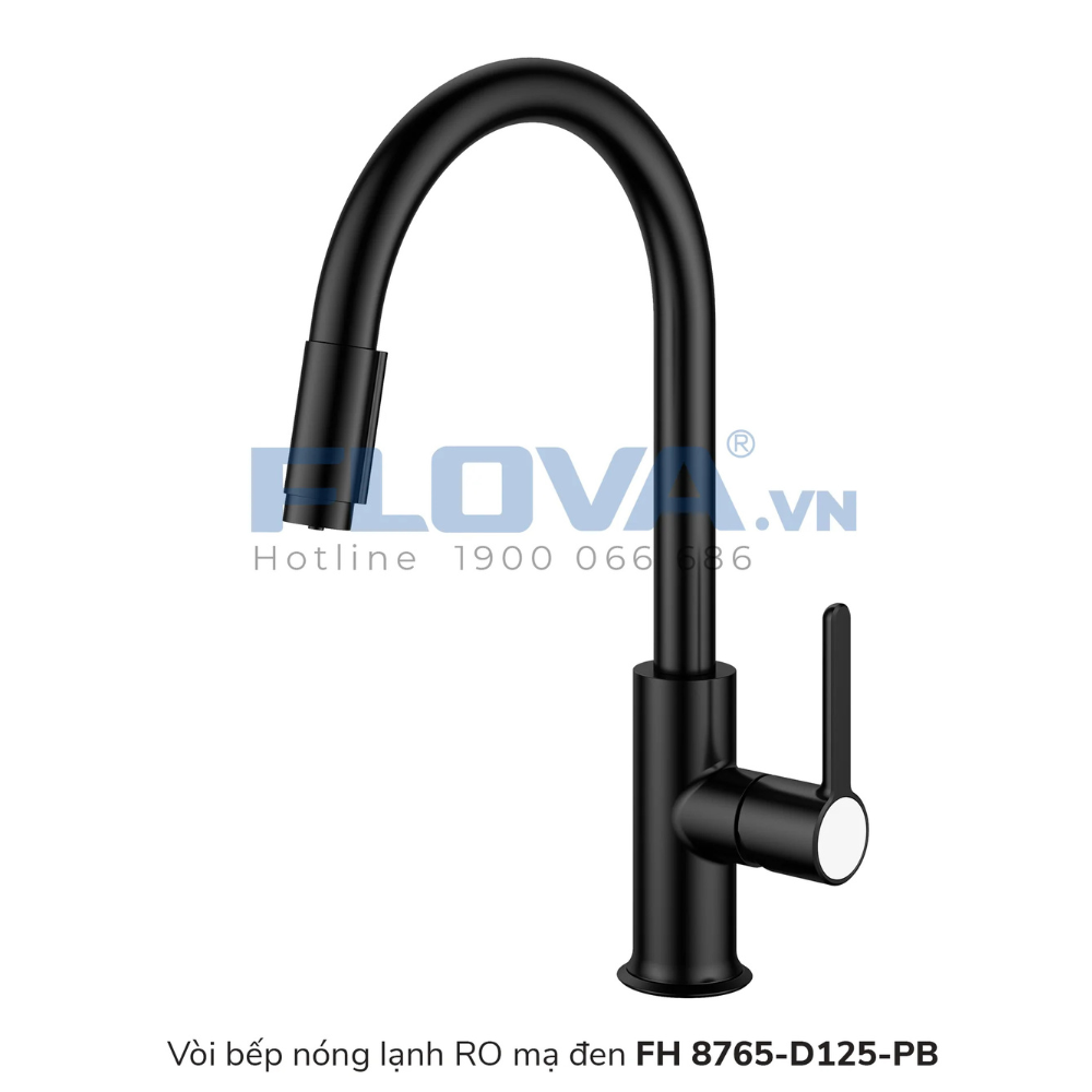 Vòi bếp nóng lạnh RO mạ đen FH 8765-D125-PB