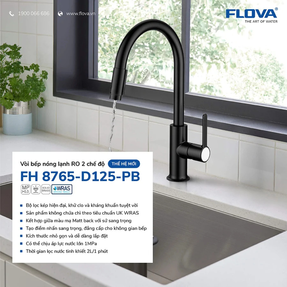 Vòi bếp nóng lạnh RO mạ đen FH 8765-D125-PB
