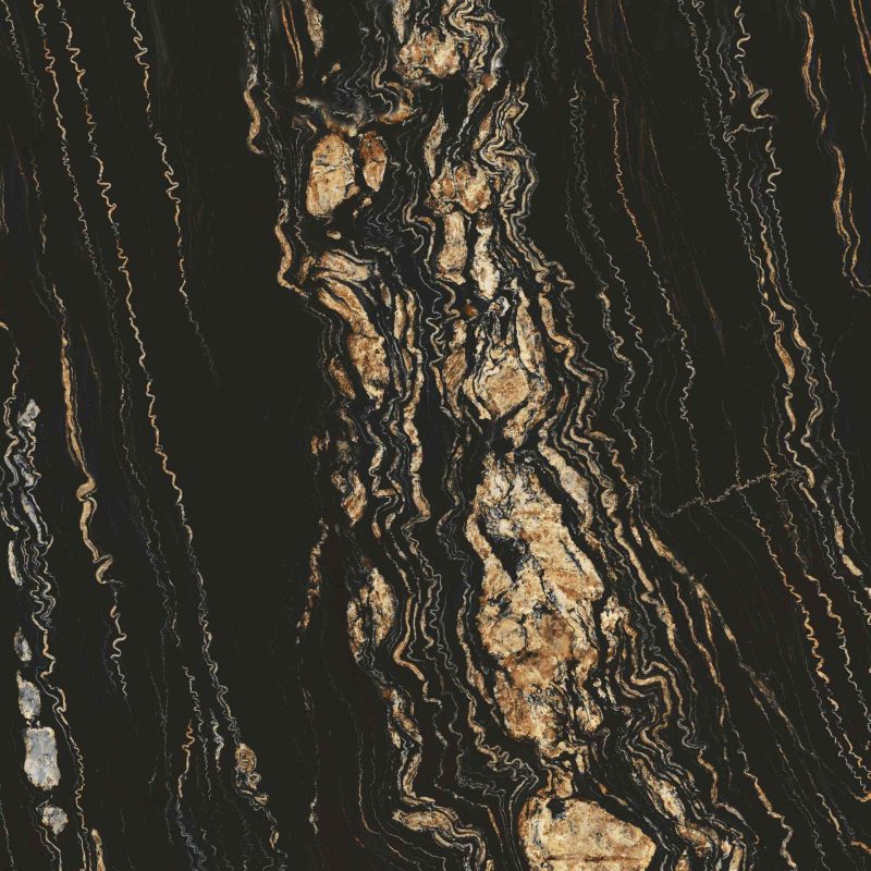 Fossil noir TP302D12