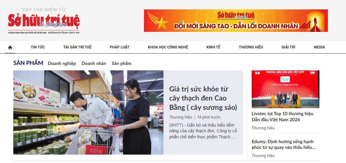 Giá trị sức khỏe từ cây thạch đen Cao Bằng ( cây sương sáo)