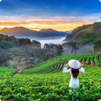 Explore Bangkok and Pattaya with Gogaga Holidays 2