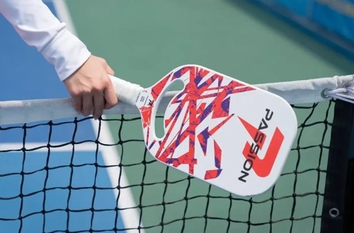 Top 5 cây vợt pickleball được ưa chuộng nhất hiện nay