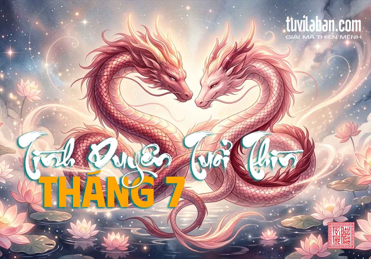 Tình cảm gia