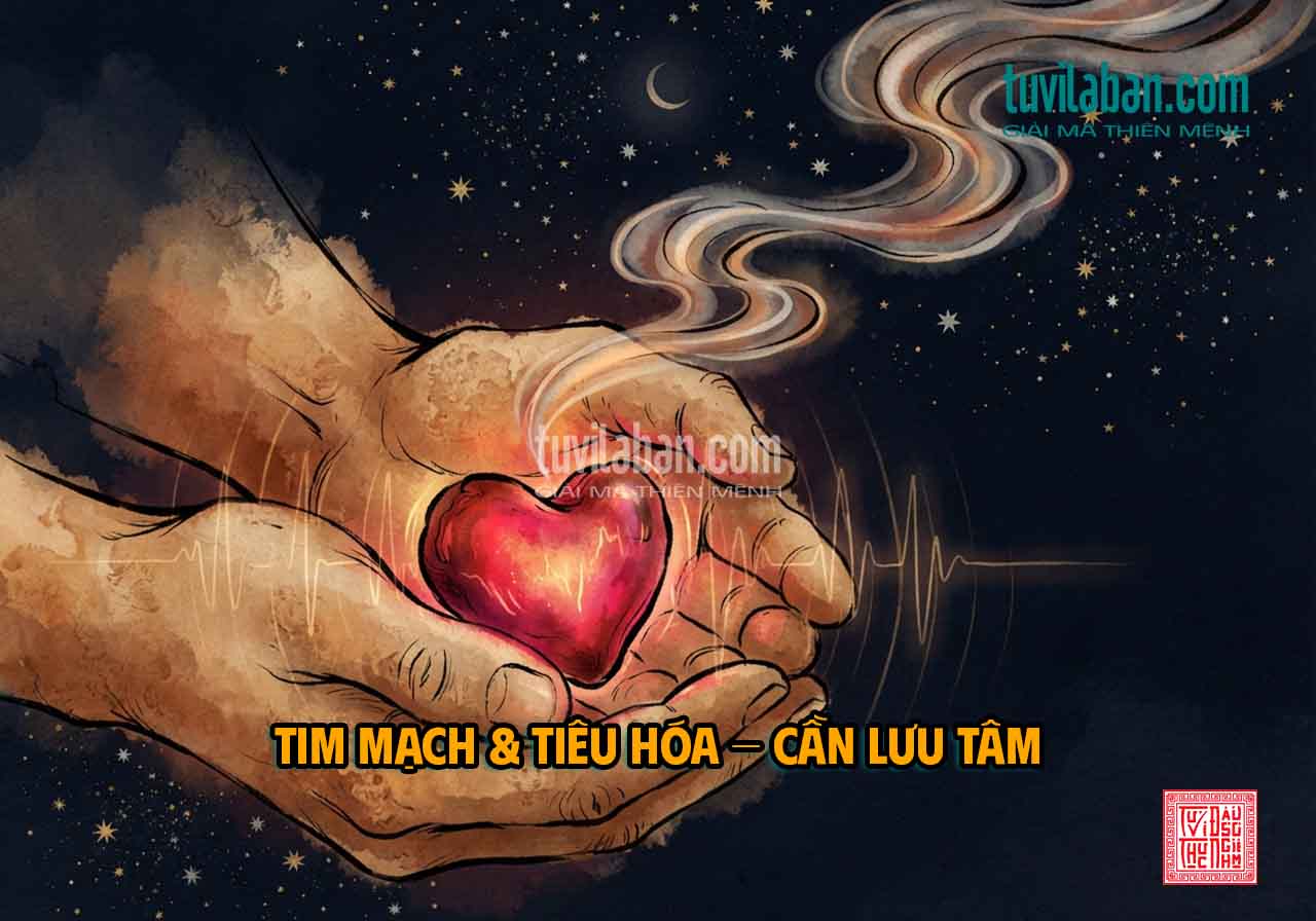 Sức khỏe tim mạch và tiêu hóa tuổi Tỵ cần lưu ý trong tháng 9 âm lịch